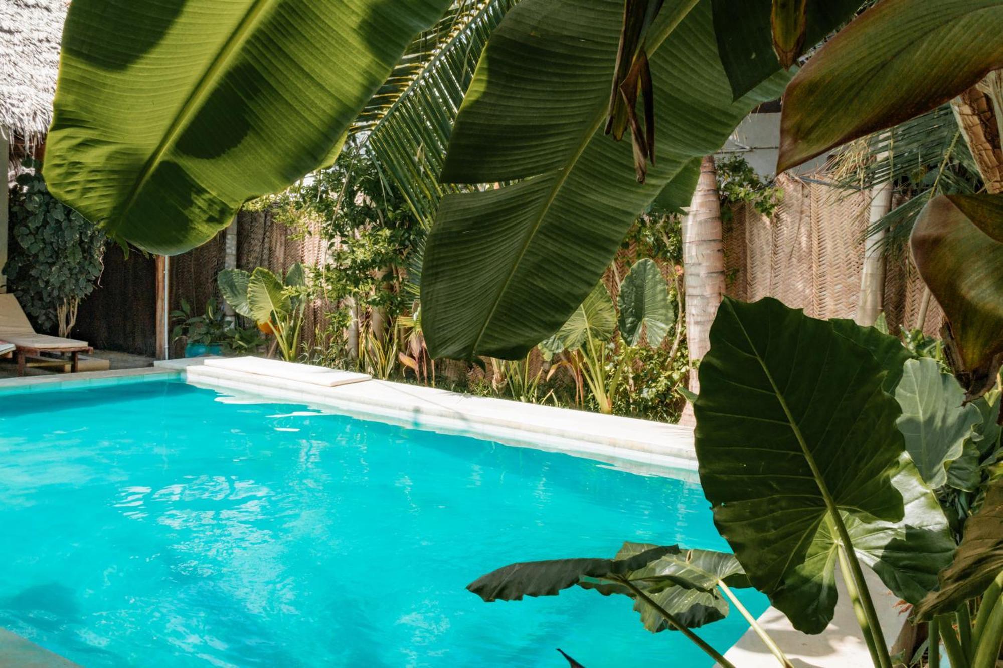 Pili Pili Palm Beach Jambiani  Exterior foto