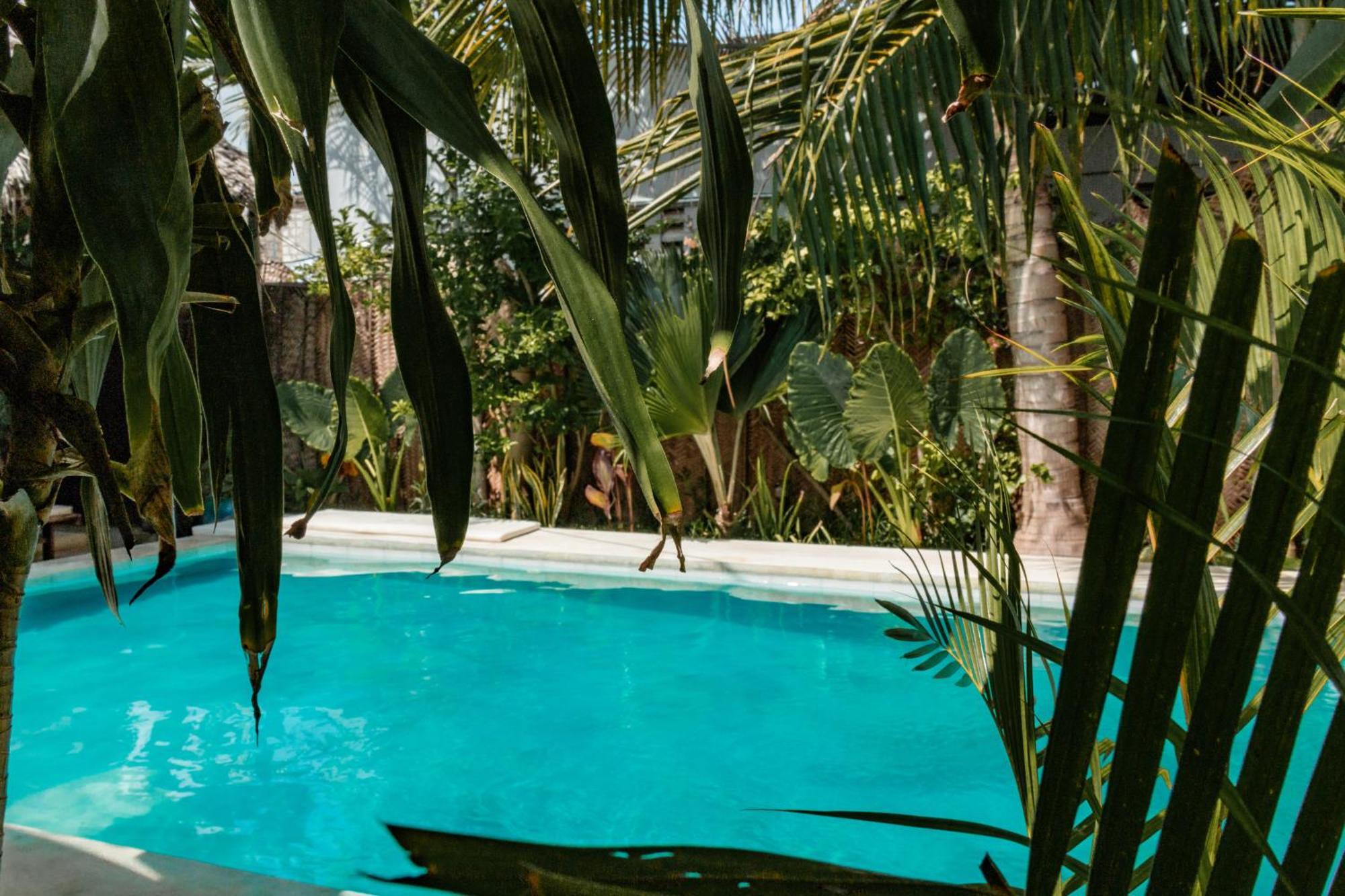 Pili Pili Palm Beach Jambiani  Exterior foto